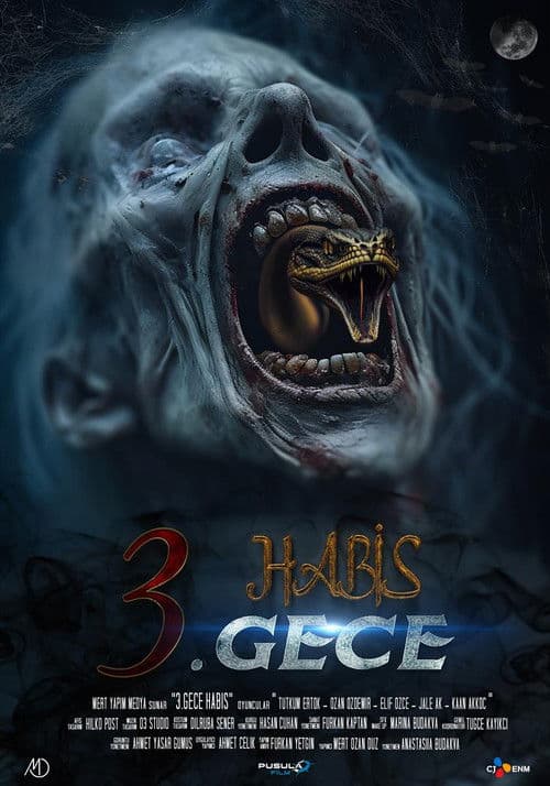 3. Gece Habis (2024) poster