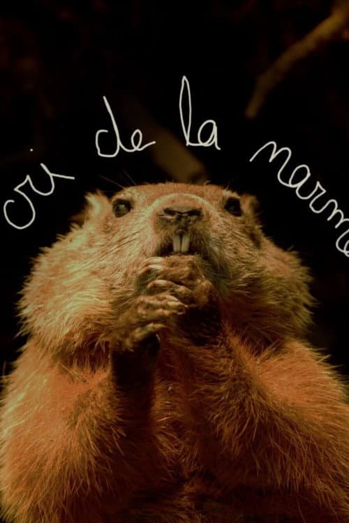 Le cri de la marmotte (2016) poster