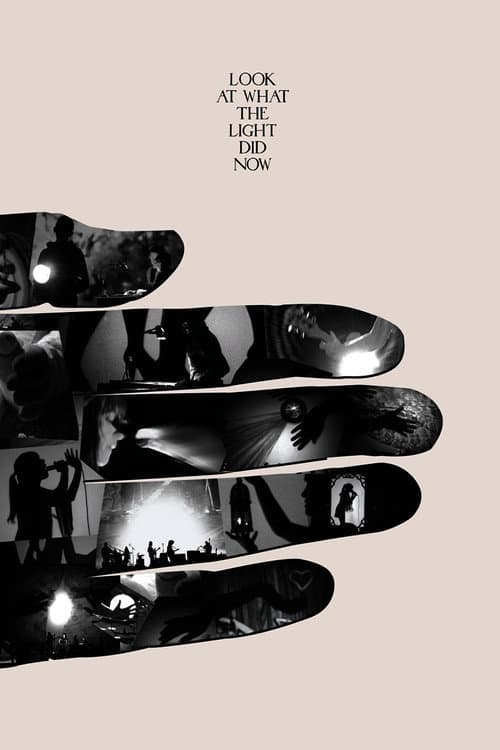 Look at What the Light Did Now (2010) poster
