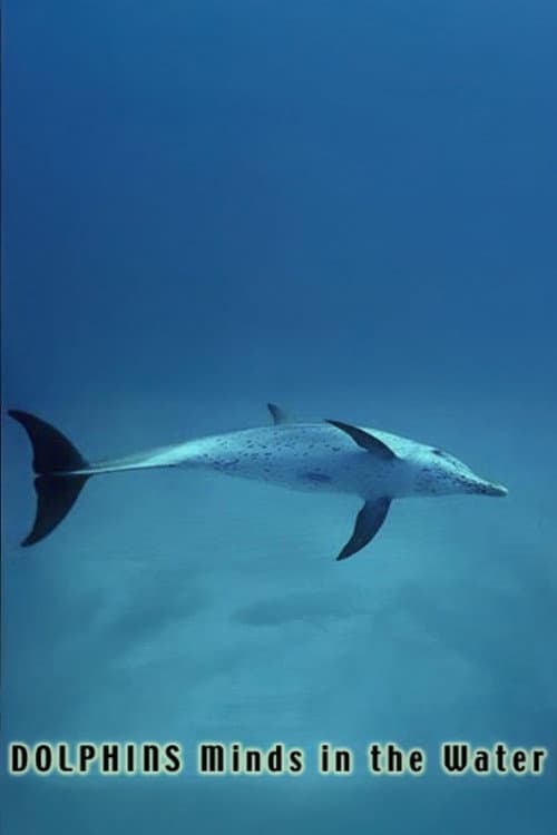 Dolphins: Minds in the Water (1991) poster