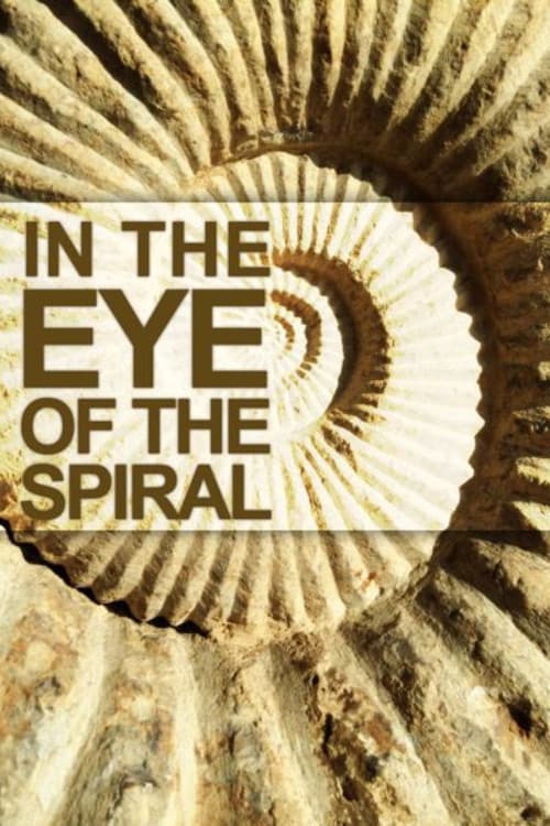 Dans L’oeil de la Spirale (2014) poster