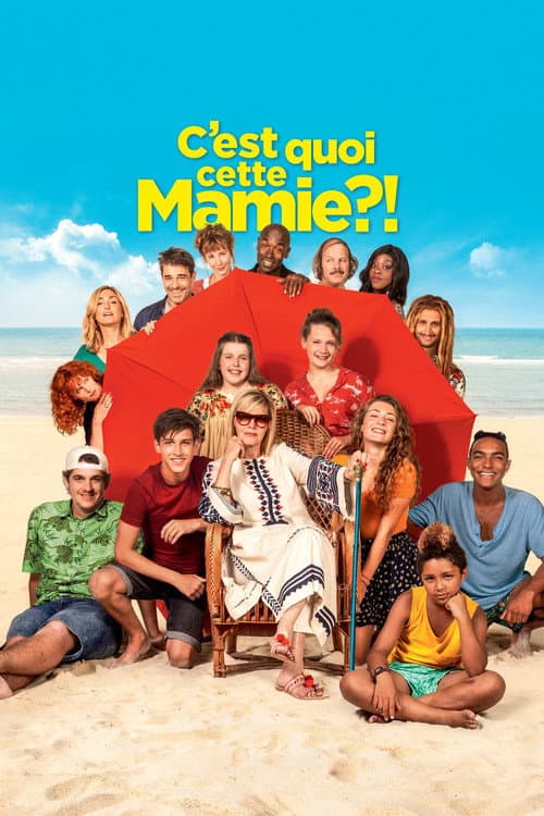 C'est quoi cette mamie ?! (2019) poster