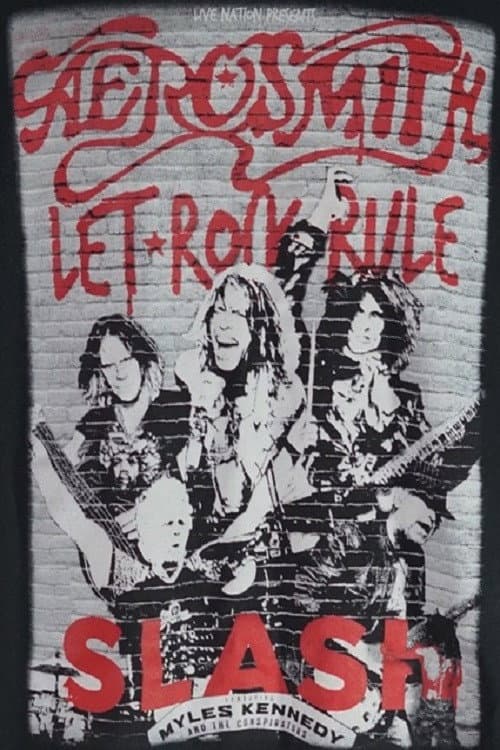 Aerosmith Let Rock Rule Tour (2014) poster