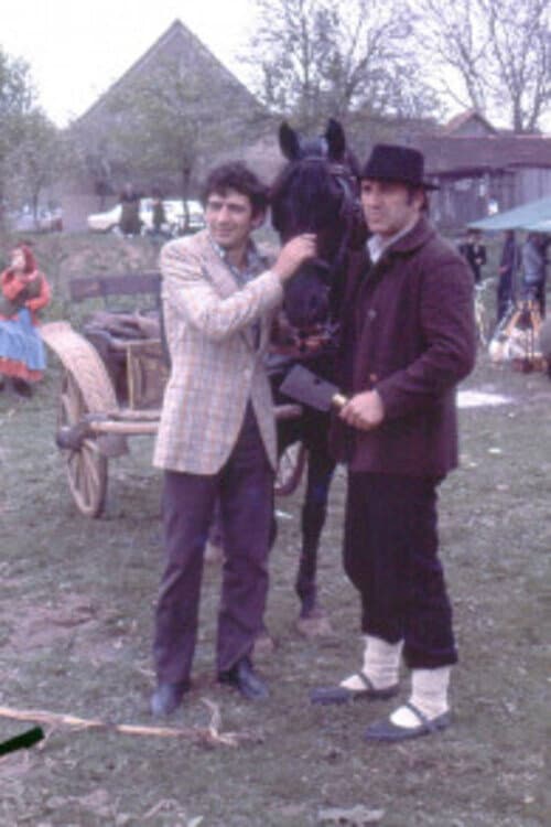 Idi tamo gde te ne poznaju (1976) poster