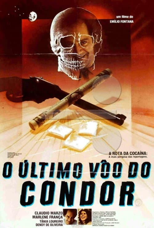 O Último Vôo do Condor (1982) poster