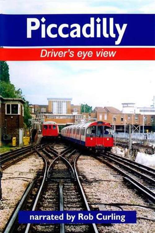 Piccadilly Driver's Eye View (2003) poster