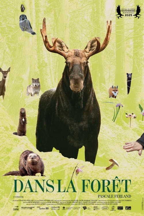 Dans la forêt (2025) poster