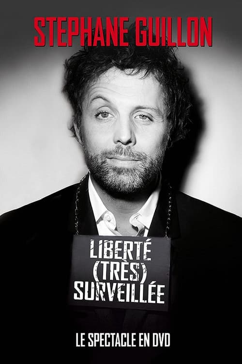 Stéphane Guillon - Liberté très surveillée (2011) poster