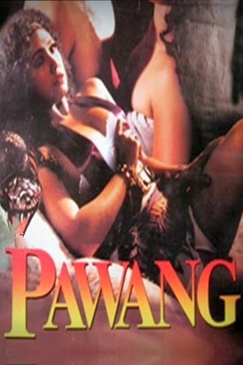 Pawang (1995) poster