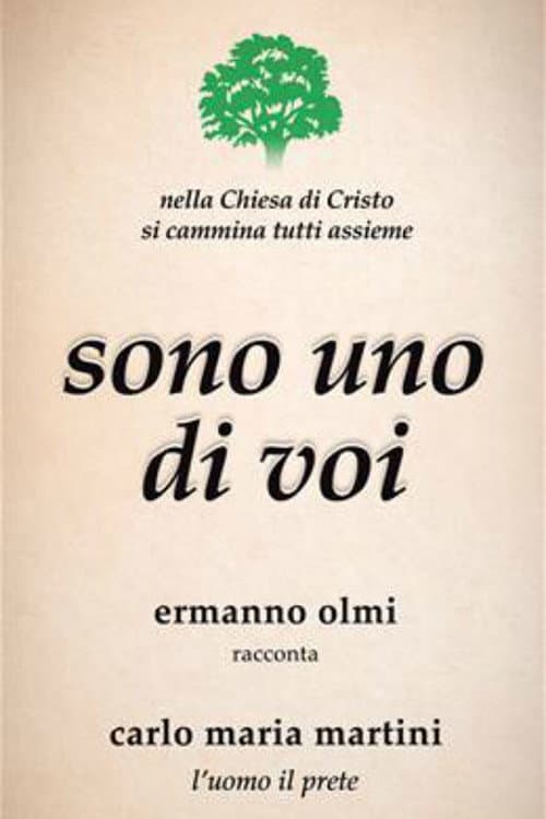 Vedete, sono uno di voi (2017) poster