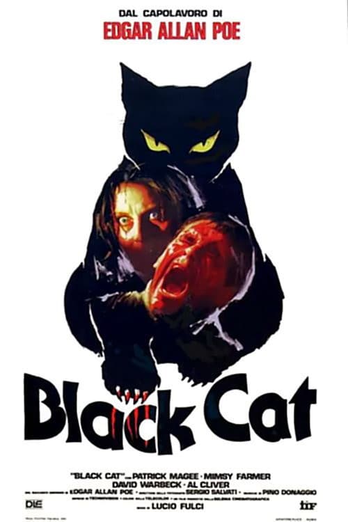Il Gatto Nero (1981) poster