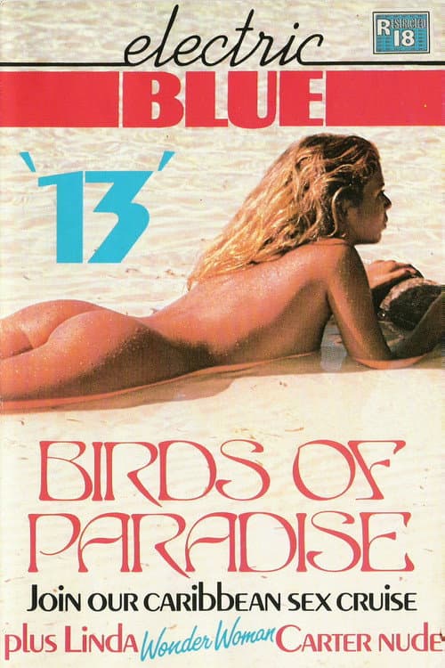 Electric Blue 13 (1984) poster
