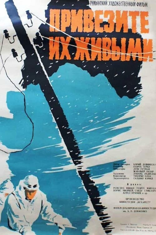 Avalanșa (1959) poster
