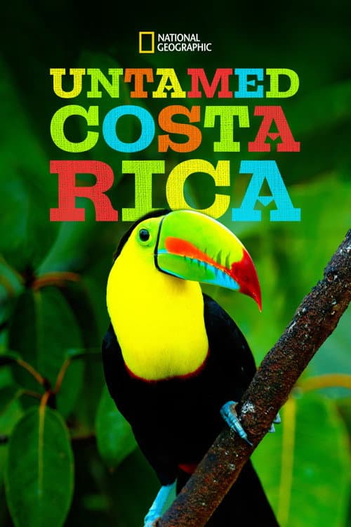 Untamed Costa Rica with Filipe DeAndrade (2018) poster