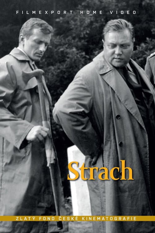 Strach (1964) poster