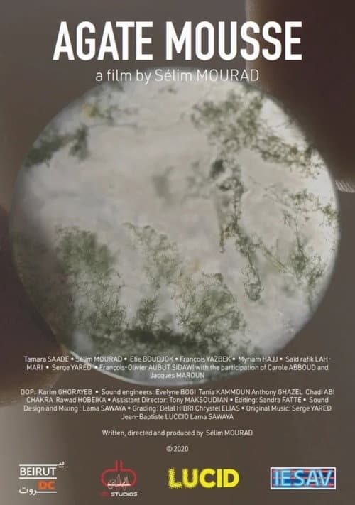 Agate mousse (2021) poster
