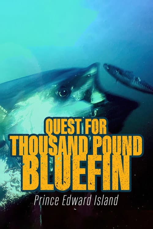 Quest for Thousand-Pound Bluefin: Prince Edward Island (2020) poster