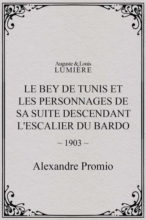 Le Bey de Tunis et les personnages de sa suite descendant l'escalier du Bardo (1903) poster