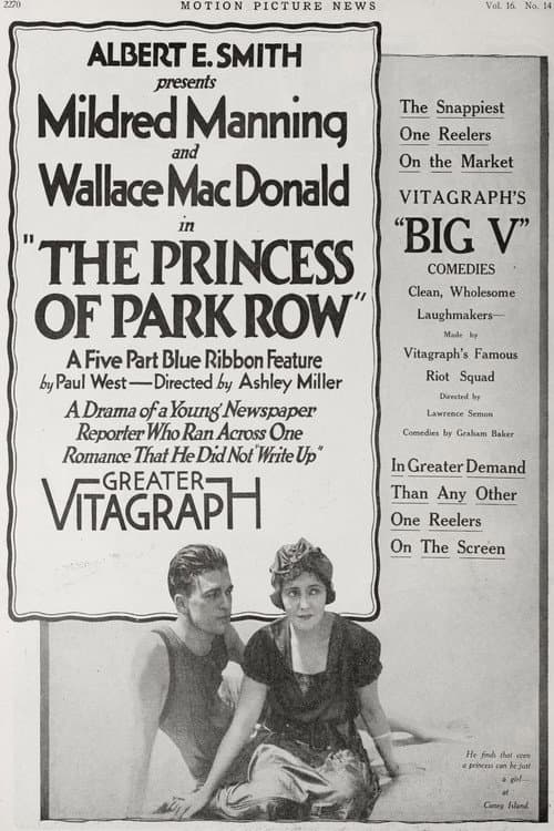 The Princess of Park Row (1917) poster