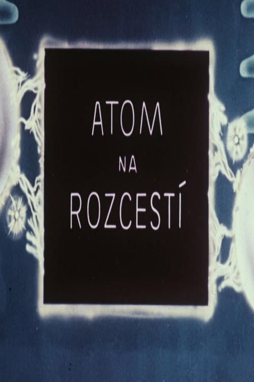 Atom na rozcestí (1947) poster