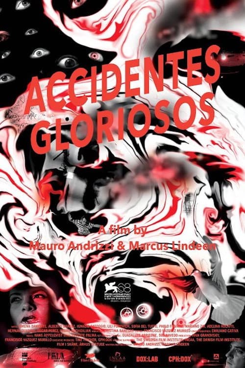 Accidentes gloriosos (2011) poster