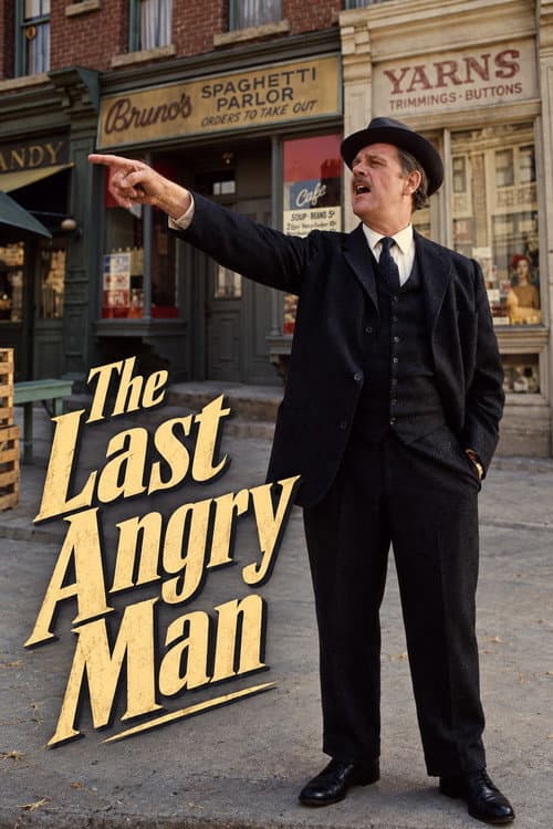 The Last Angry Man (1974) poster