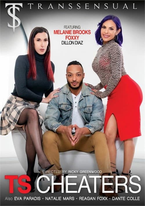 TS Cheaters (2020) poster
