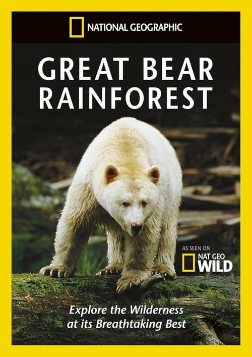 National Geographic - Ijsberen (2010) poster