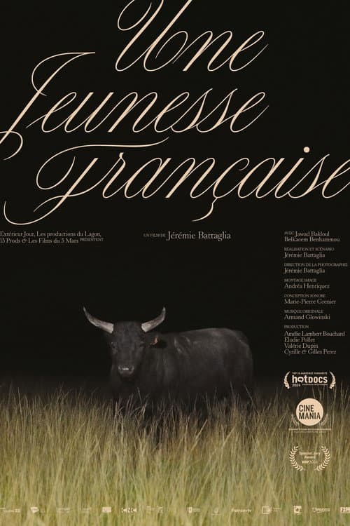 Une jeunesse française (2024) poster
