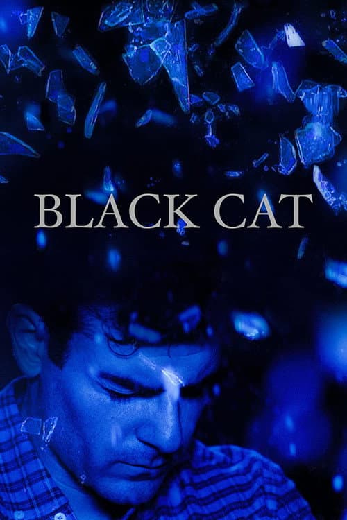 Black Cat (2017) poster
