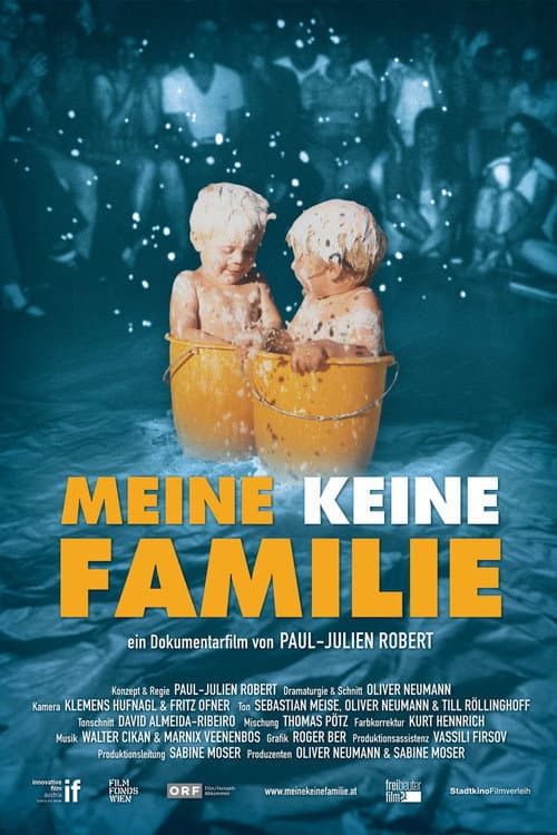 Meine keine Familie (2012) poster
