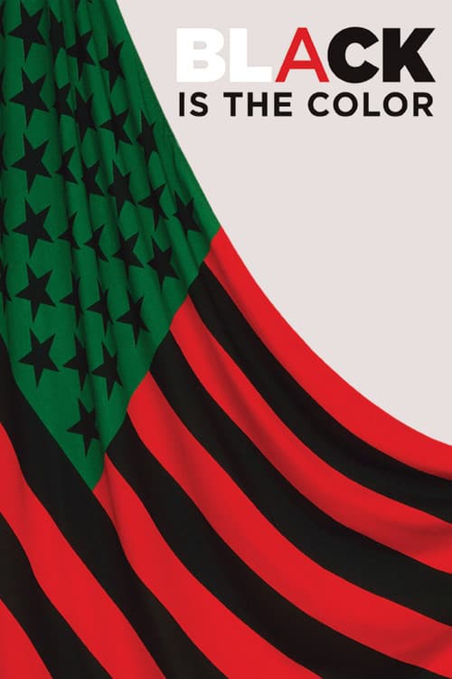 Black Is the Color: African-American Artists and Segregation (2016) poster
