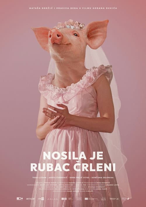 Nosila je rubac črleni (2022) poster
