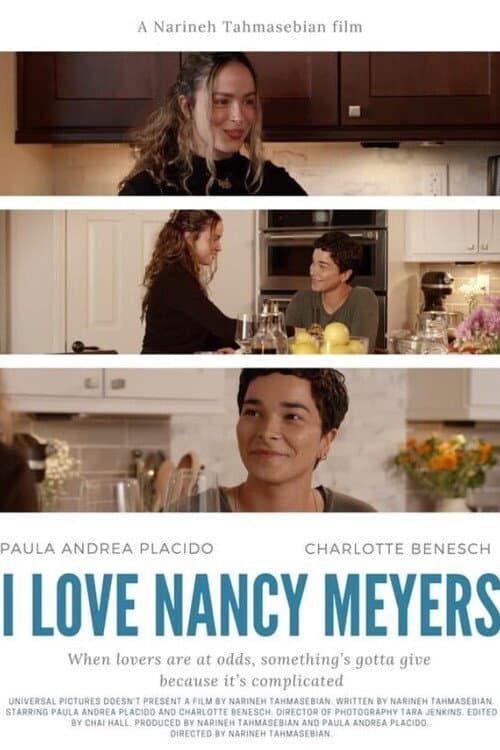I Love Nancy Meyers (2023) poster
