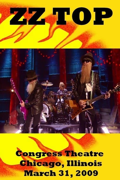 ZZ Top - VH1 Storytellers (2009) poster