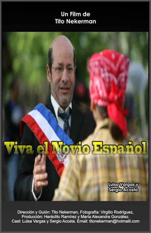 Viva el Novio Español (2010) poster