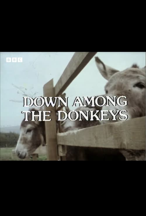 Down Among the Donkeys (1978) poster