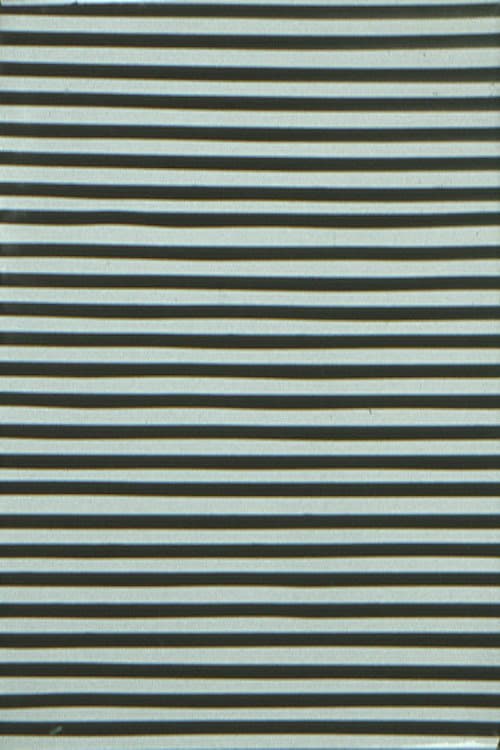 Primary Stimulus (1977) poster