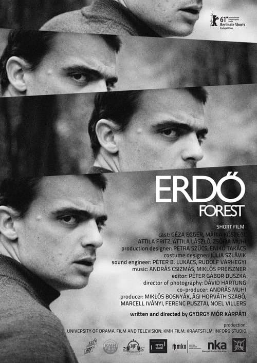 Erdő (2011) poster