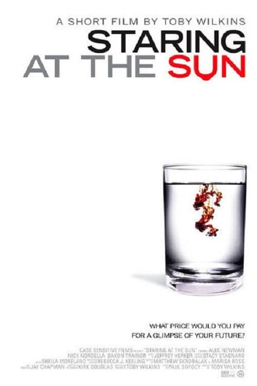 Staring at the Sun (2005) poster