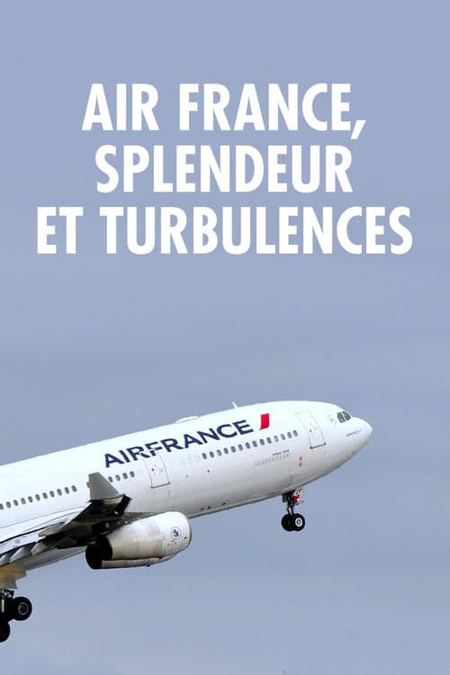 Air France, splendeur et turbulences (2016) poster