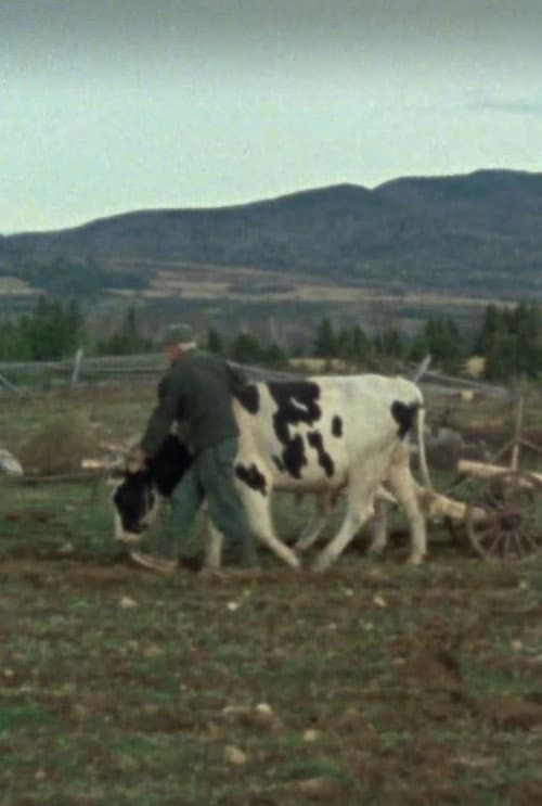 Les boeufs de labour (1977) poster