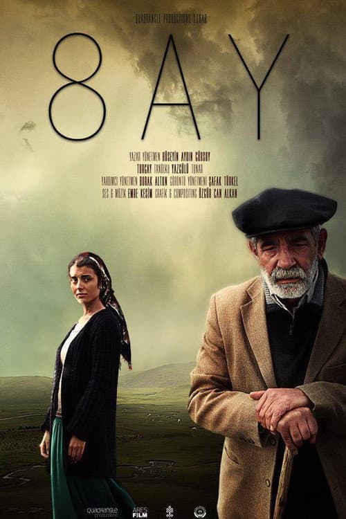 8 Ay (2013) poster