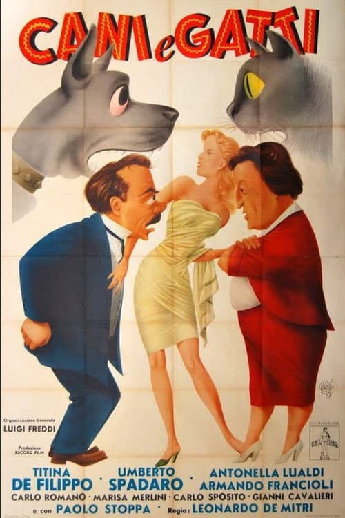 Cani e gatti (1952) poster