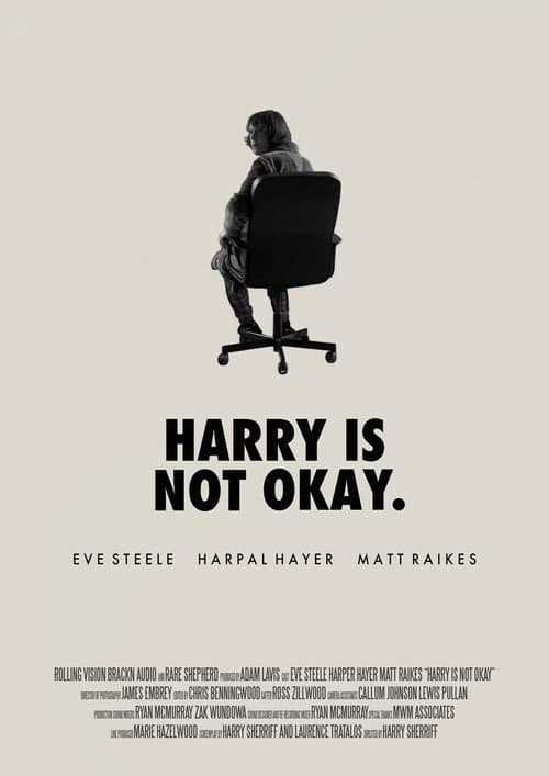 Harry Is Not Okay (2021) poster
