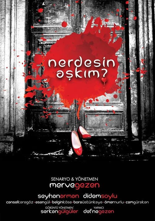 Nerdesin Aşkım? (2014) poster
