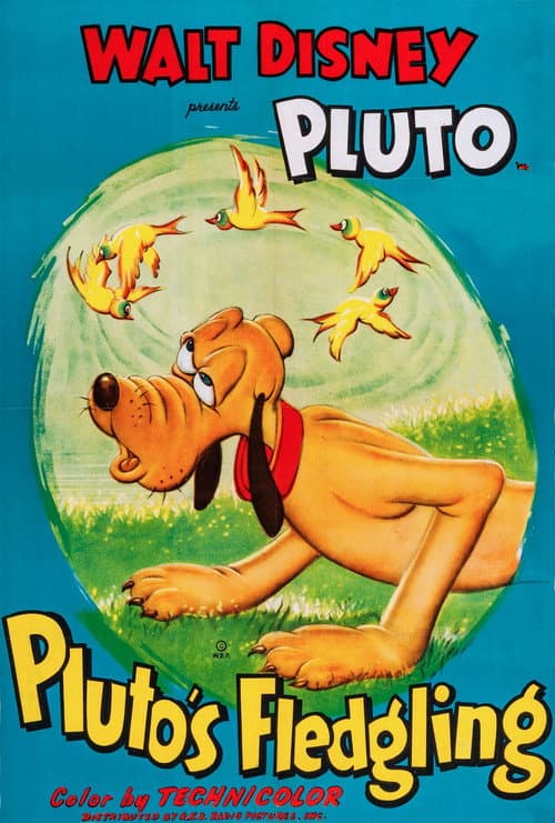 Pluto's Fledgling (1948) poster