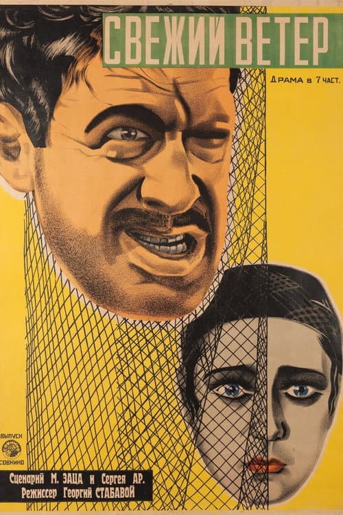 Свежий ветер (1927) poster