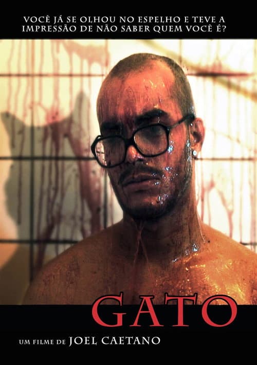 Gato (2009) poster