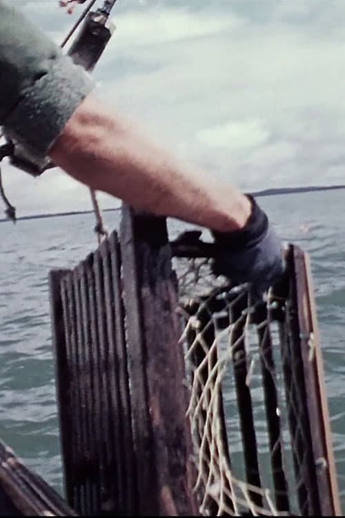 Lobsterman (1973) poster
